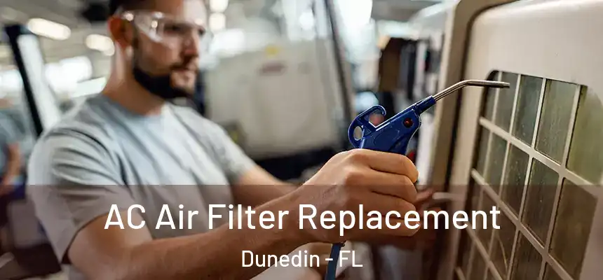 AC Air Filter Replacement Dunedin - FL