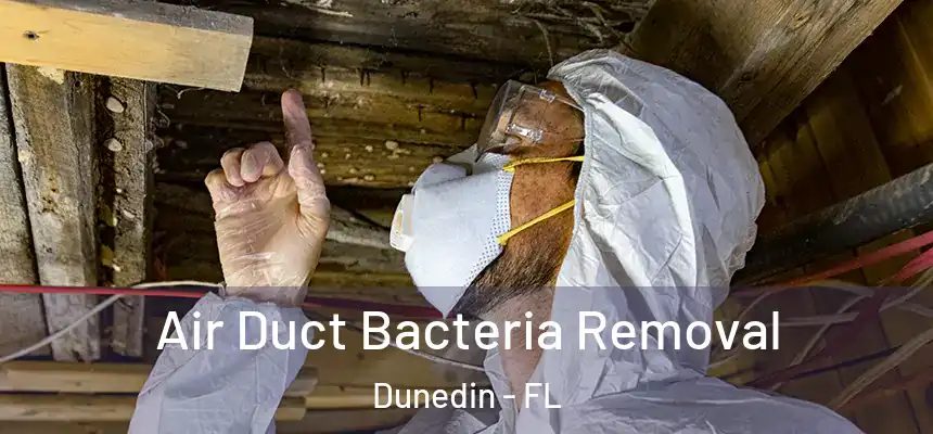 Air Duct Bacteria Removal Dunedin - FL
