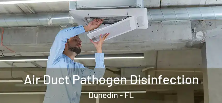 Air Duct Pathogen Disinfection Dunedin - FL