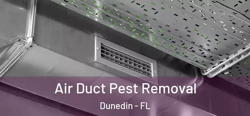 Air Duct Pest Removal Dunedin - FL