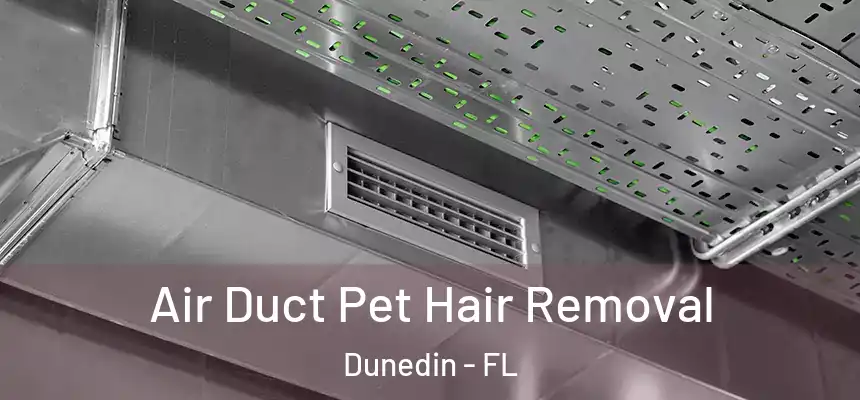 Air Duct Pet Hair Removal Dunedin - FL