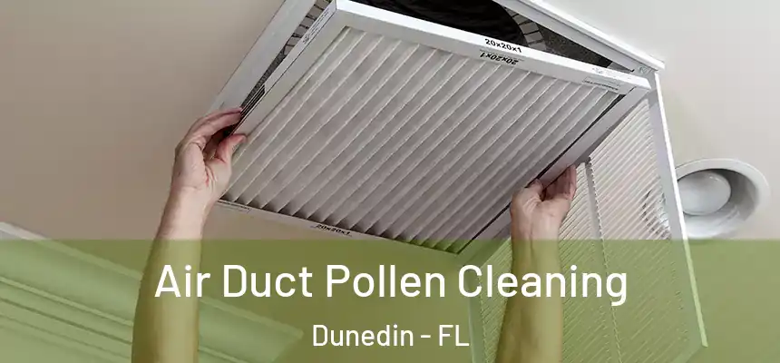 Air Duct Pollen Cleaning Dunedin - FL