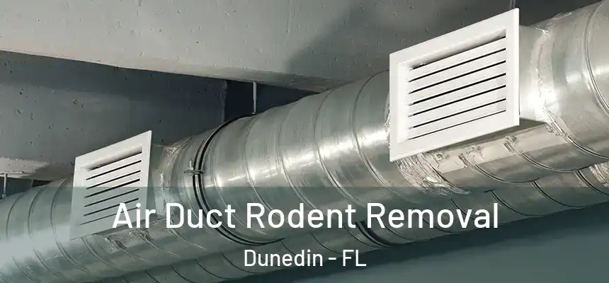 Air Duct Rodent Removal Dunedin - FL