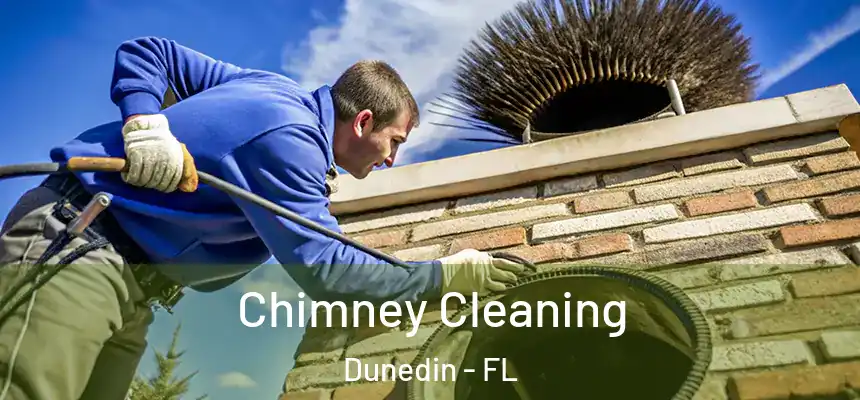 Chimney Cleaning Dunedin - FL