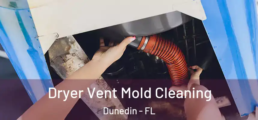 Dryer Vent Mold Cleaning Dunedin - FL
