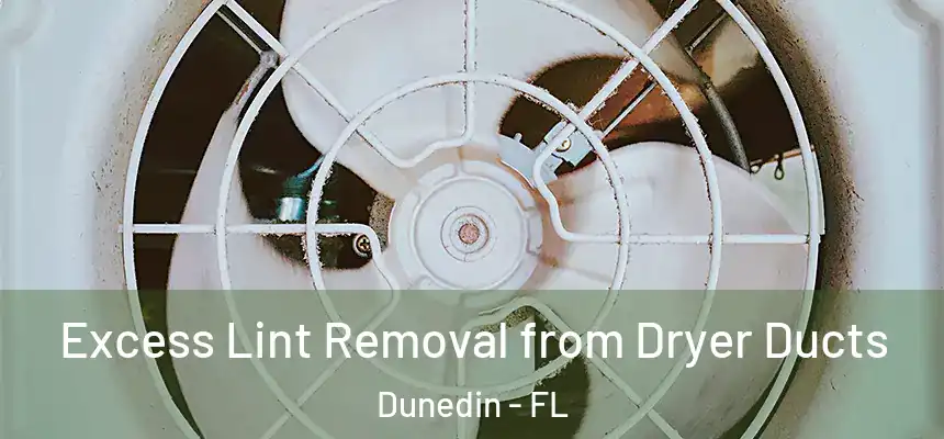 Excess Lint Removal from Dryer Ducts Dunedin - FL