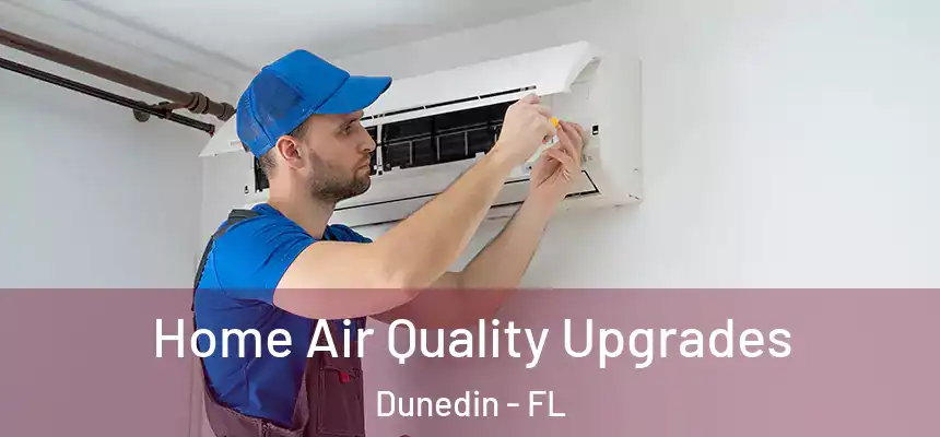 Home Air Quality Upgrades Dunedin - FL