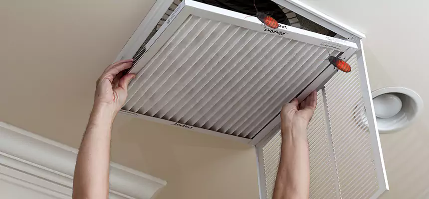 Preventive Cockroach-Proofing for Ducts in Dunedin