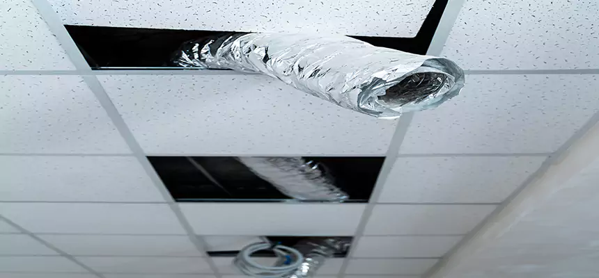 Affordable HVAC Sanitizing After Pest Removal in Dunedin