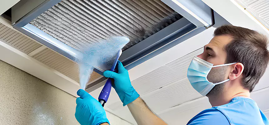 Proactive Dryer Vent & Auxiliary Duct Pollen Cleanup in Dunedin, FL