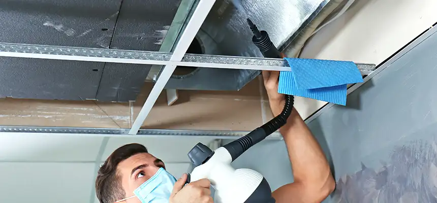 Our Air Duct Rodent Removal Services in Dunedin, FL