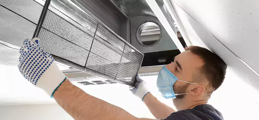 Diagnostic HVAC Coil & Blower Cleaning in Dunedin
