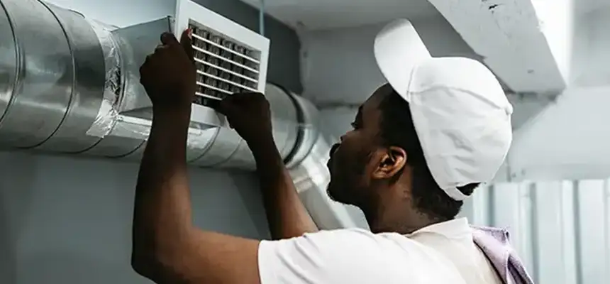 Our Licensed And Insured Cleaners in Dunedin, FL