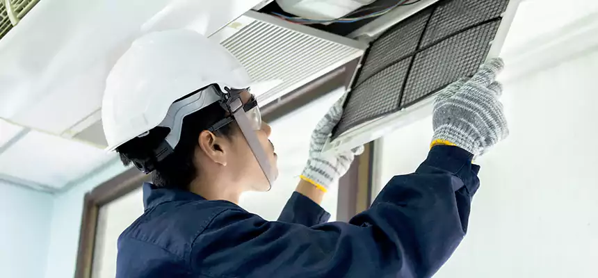 Our Mold & Mildew Removal from Air Ducts Services in Dunedin, FL