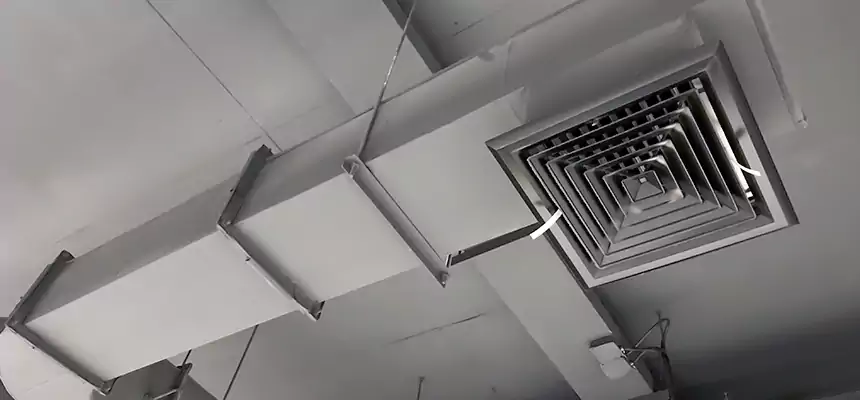 Our Pest Removal From Ducts Services in Dunedin, FL