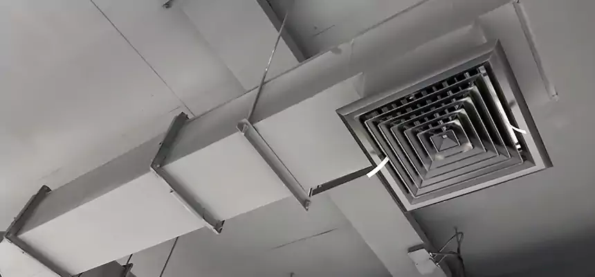 Our Rodent Droppings In Vents Services in Dunedin, FL