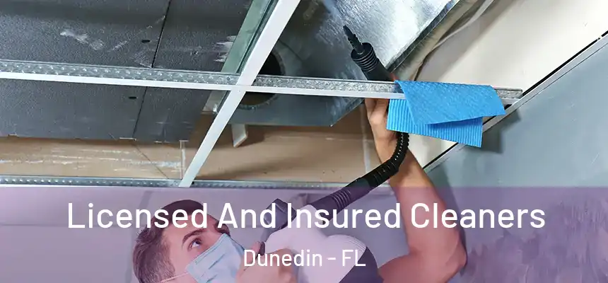 Licensed And Insured Cleaners Dunedin - FL