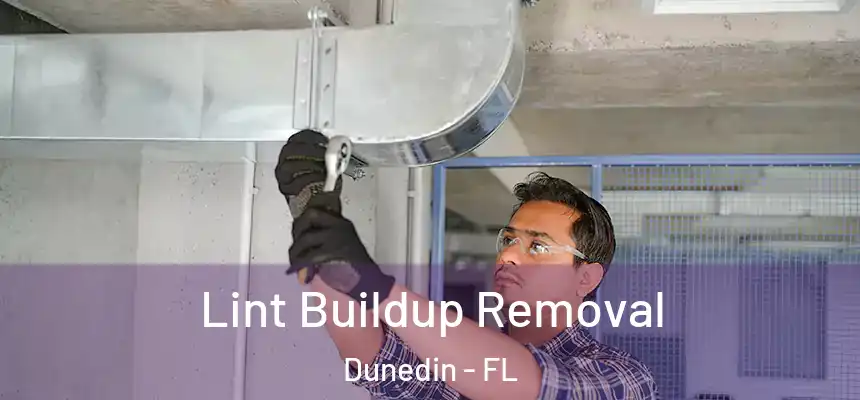 Lint Buildup Removal Dunedin - FL