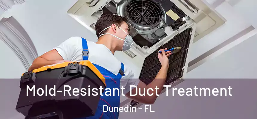 Mold-Resistant Duct Treatment Dunedin - FL