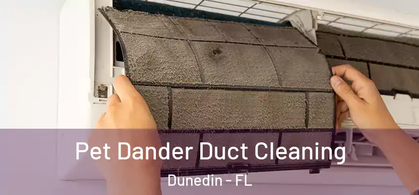 Pet Dander Duct Cleaning Dunedin - FL