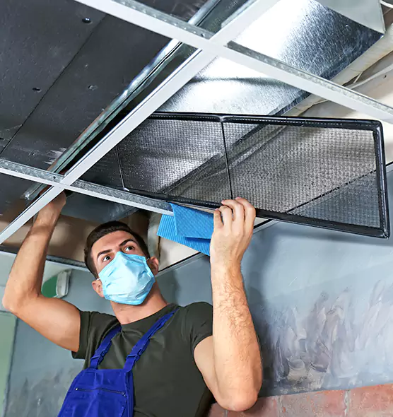 About Air Duct Bacteria Removal in Dunedin