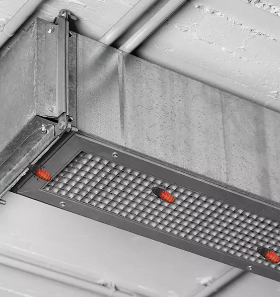 About Air Duct Cockroach Removal in Dunedin, FL