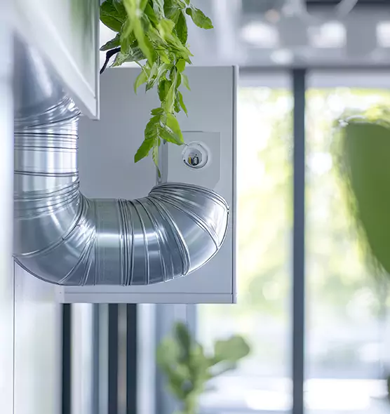 Professional Eco-Safe Dryer Vent Cleaning in Dunedin, FL