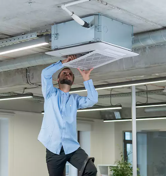 Advanced Rodent Droppings In Vents in Dunedin, FL