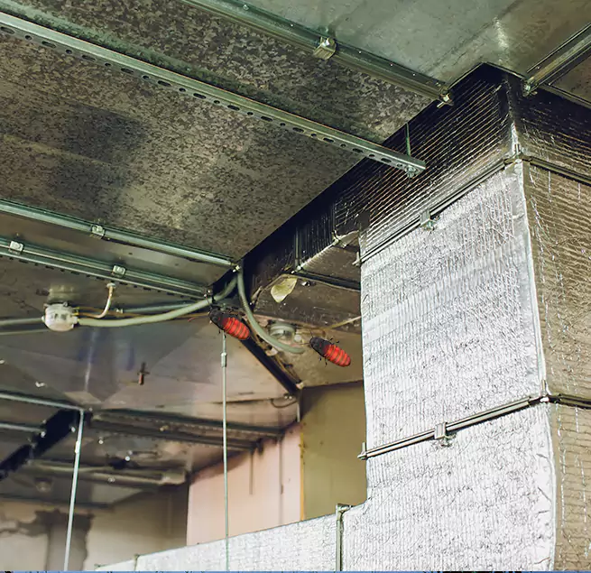 Why Homeowners & Businesses Trust Us in Dunedin, FL?