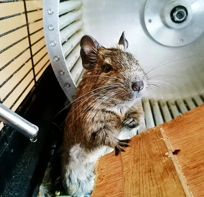 Why Homeowners & Businesses Trust Us Dunedin, FL?