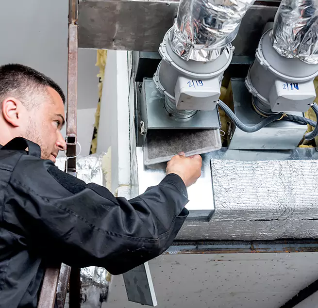 Why Homeowners & Businesses Trust Us in Dunedin, FL