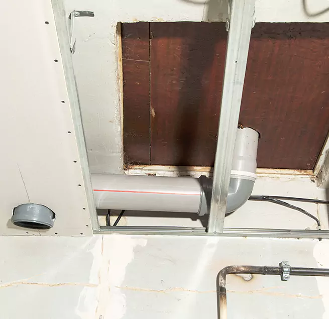 Why Homeowners & Businesses Trust Us in Dunedin, FL?