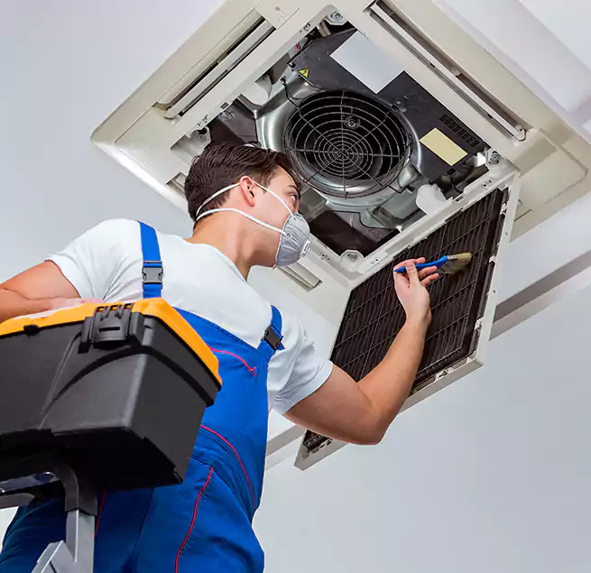 Why Homeowners & Businesses Trust Us in Dunedin, FL