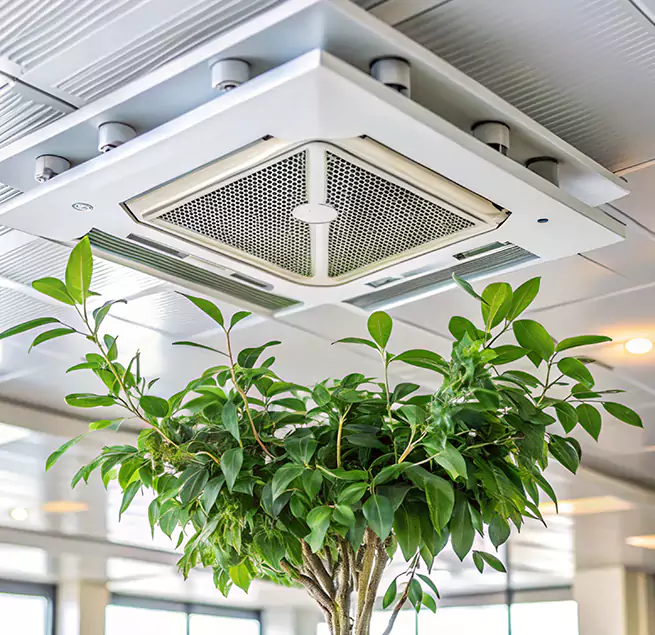 Why Homeowners & Businesses Trust Us in Dunedin, FL