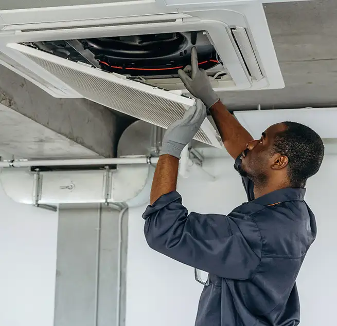 Why Homeowners & Businesses Trust Us in Dunedin, FL?