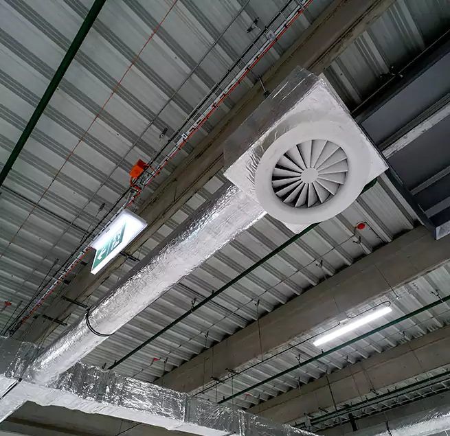 Why Homeowners & Businesses Trust Us in Dunedin, FL