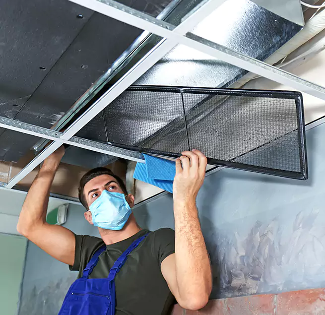 Why Homeowners & Businesses Trust Us in Dunedin, FL?